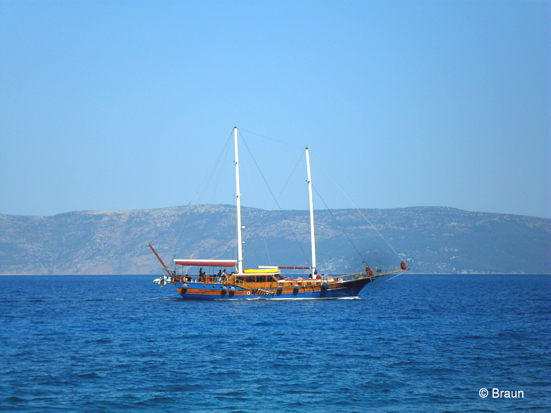 SAM_0803.jpg