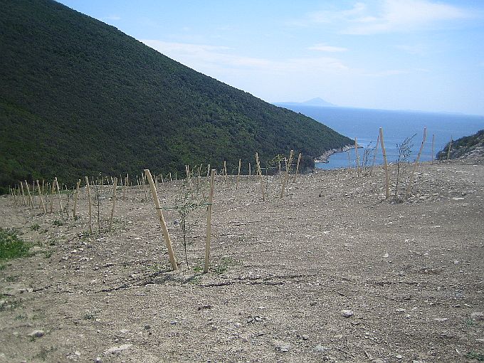 KOROMACNO Holcim Zementwerk 8