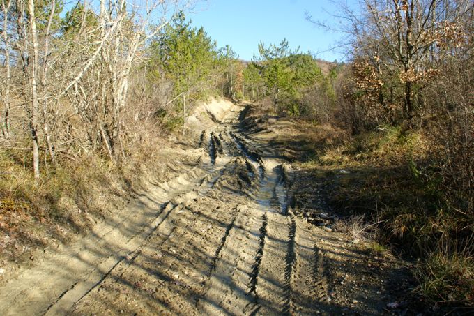 Istarske Toplice > Wanderung nach Sovinjak 6