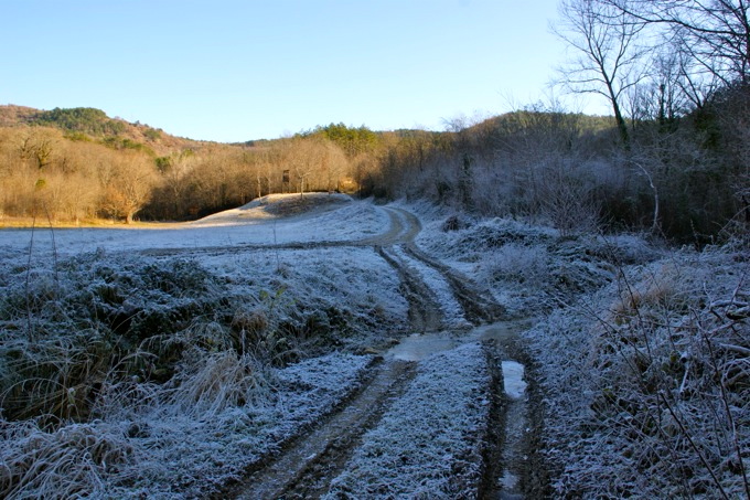 Istarske Toplice > Wanderung nach Sovinjak 4