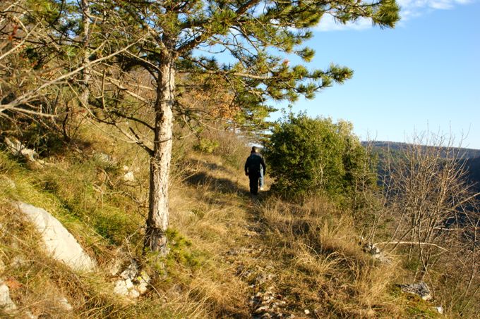 Istarske Toplice > Wanderung nach Sovinjak 2