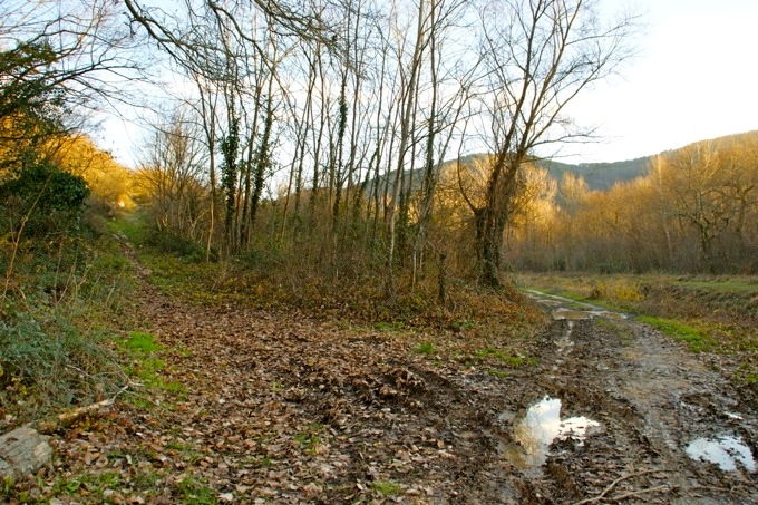 Istarske Toplice > Wanderung nach Sovinjak 2