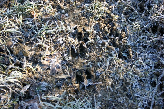 Istarske Toplice > Wanderung nach Sovinjak