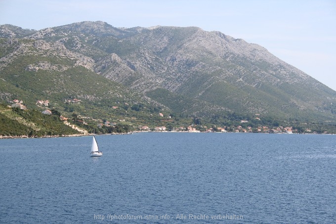 FAEHRE > Von Stari Grad nach Korcula 4