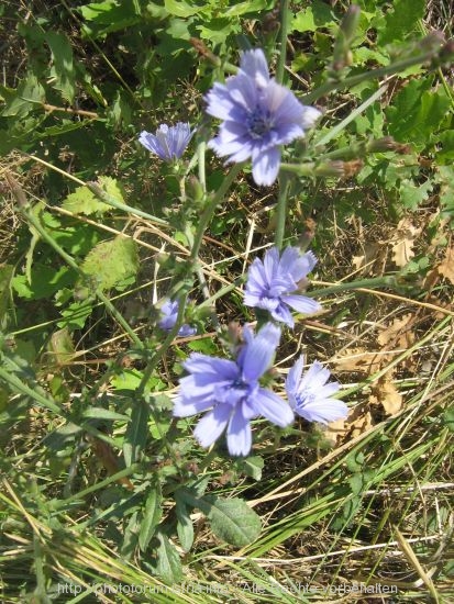 Wanderweg des Hl. Simon in Gracisce 6