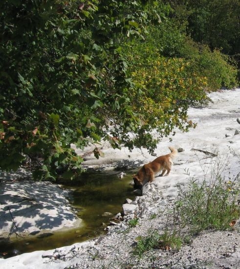 Wanderweg des Hl. Simon in Gracisce 7