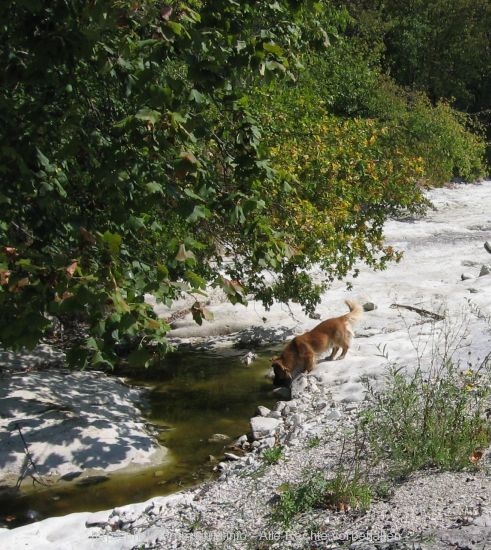 Wanderweg des Hl. Simon in Gracisce 7