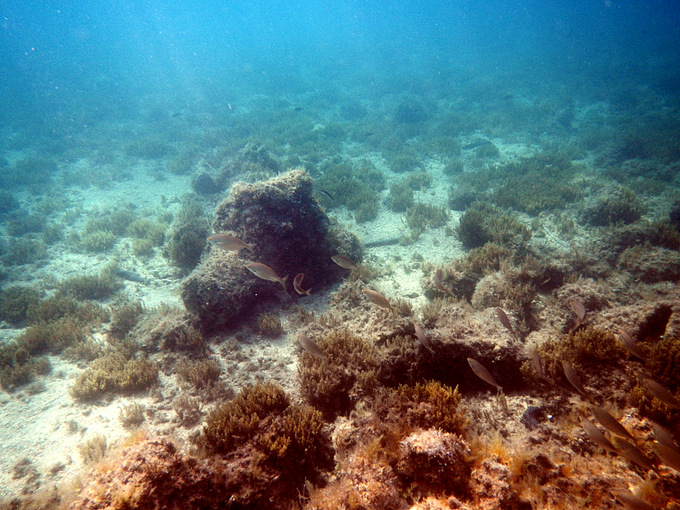 Karlobag 2012 Unterwasser 5