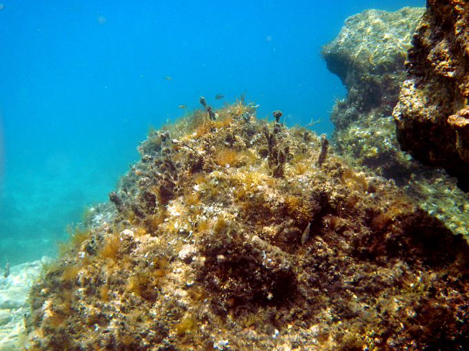 Karlobag 2012 Unterwasser 22