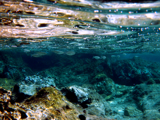 Insel Korcula: KARBUNI > Unterwasser 12