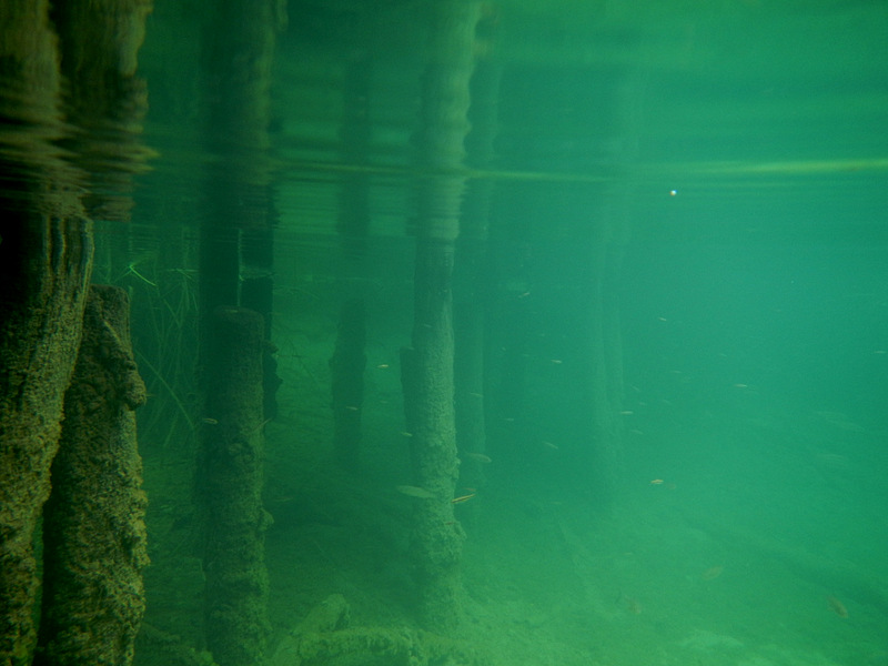 NP Plitvicer Seen > unter dem Holzsteg