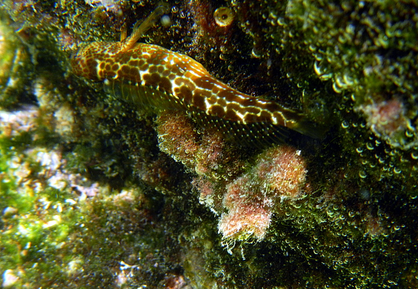 DSCN4933.jpg