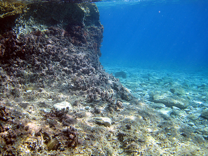 UNTERWASSER VOR MARUSICI > Landschaft