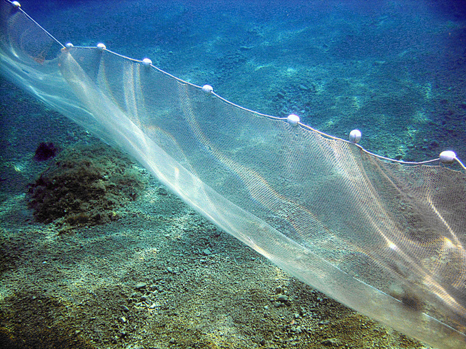 UNTERWASSER VOR MARUSICI > Netz