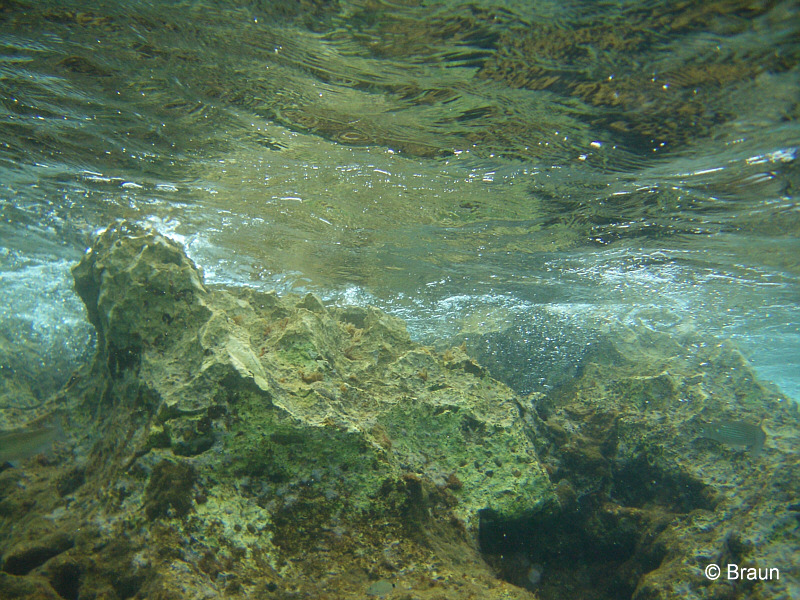 Istrien: RAVNI > Unterwasserfelsen