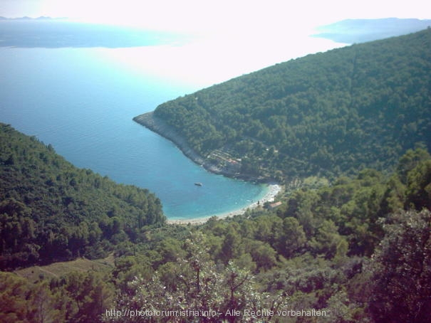 INSEL KORCULA > Pupnat Luka von oben