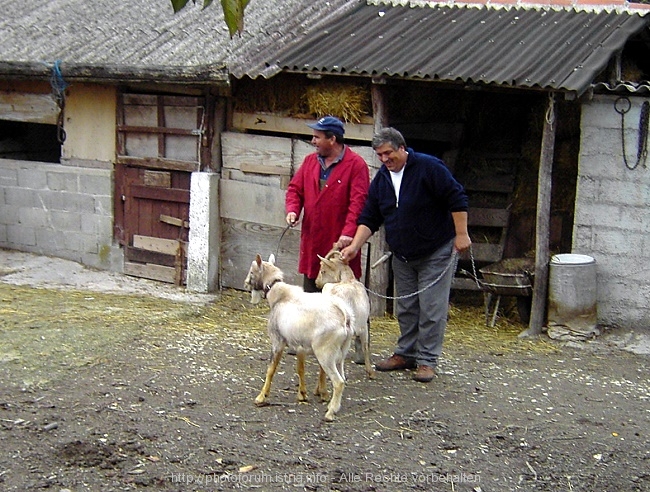 Bauernhof