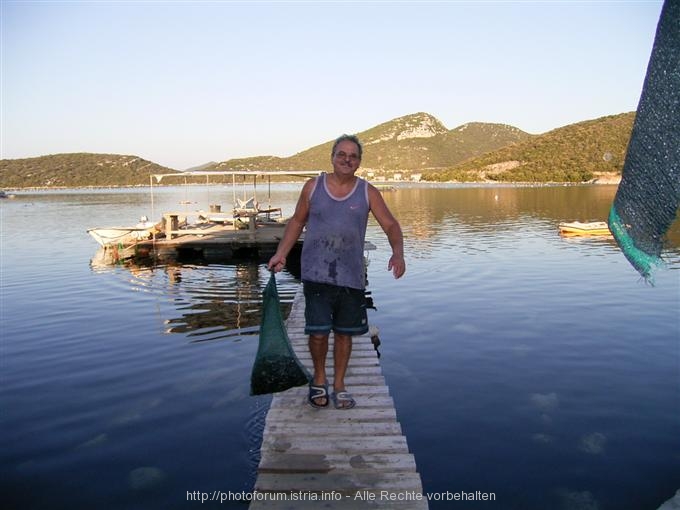 Muschelfischer bei Drace / Peljesac