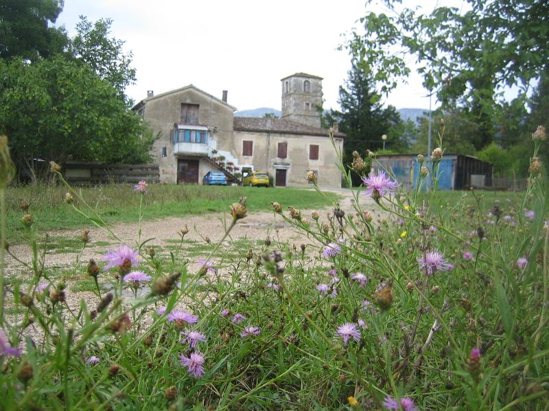 Cepicko Polje 7