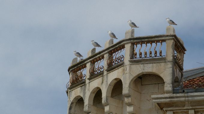 Split-Trogir 6