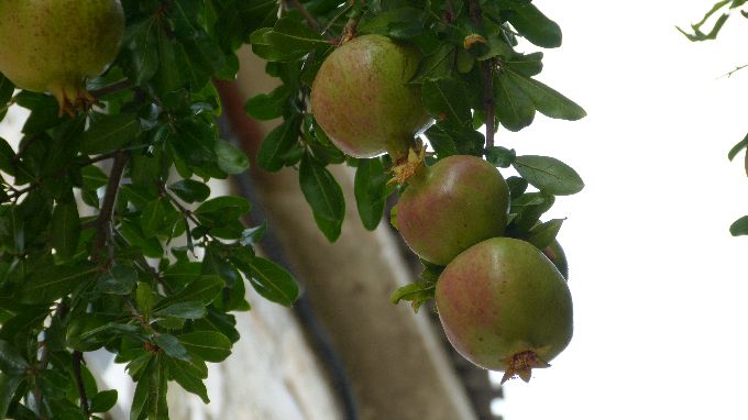 Split-Trogir 5