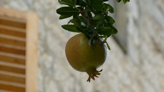 Split-Trogir 6