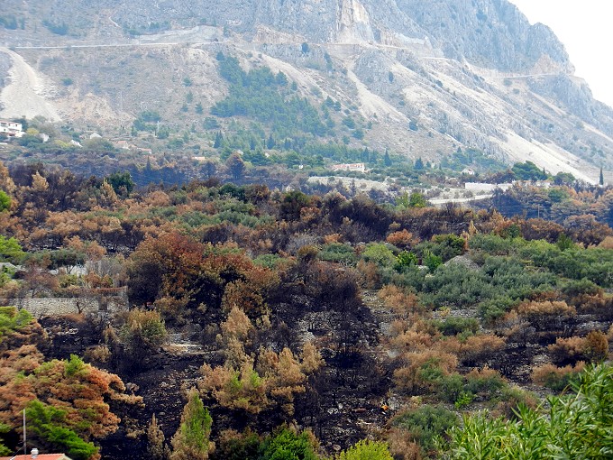 Waldbrand bei Podgora 4