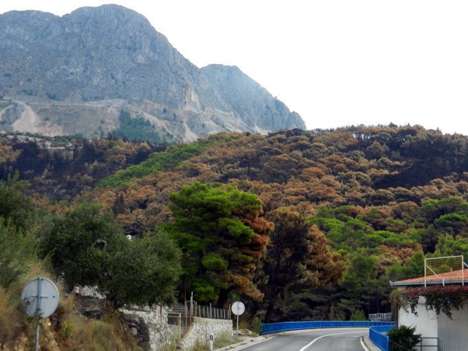 Waldbrand bei Podgora 5