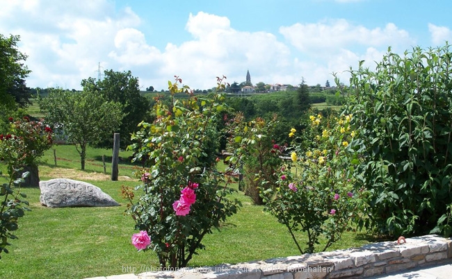 Blick auf Zrenji