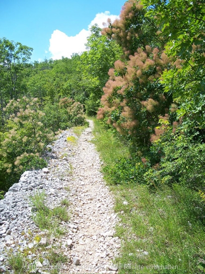 Wanderpfad nach Zrenj