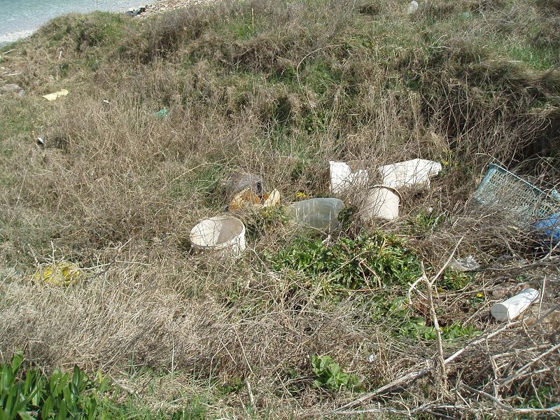 Bohröl