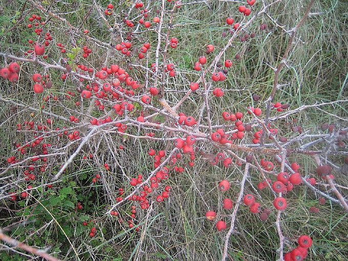 Marlera Wanderung 2