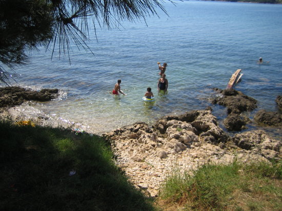 Strand am Pinienwald in Liznjan