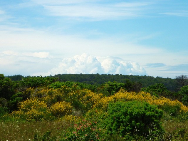 Marlera, die etwas andere Wanderung 2