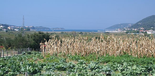 SUPETARSKA DRAGA > Bucht Supetarska draga