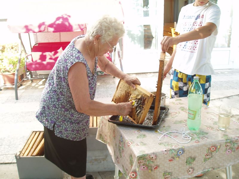 beim Abdeckeln der Waben