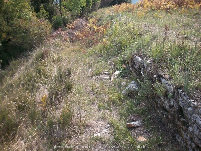 Nesactium Herbst 2007 5