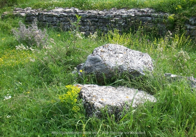 Nesactium Frühjahr 2008 5