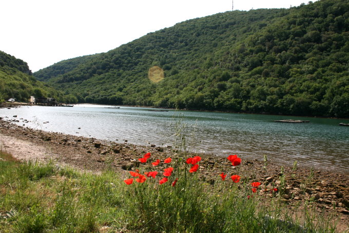 Am Limski Fjord