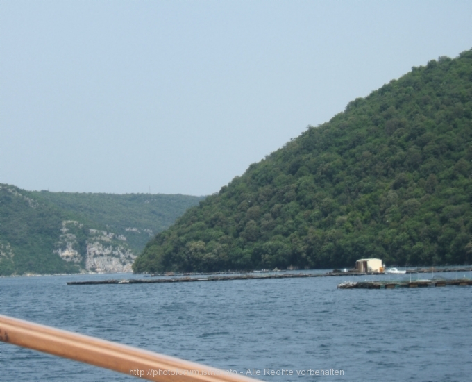 Lim-Fjord > Ausflug mit der "Quo Vadis"