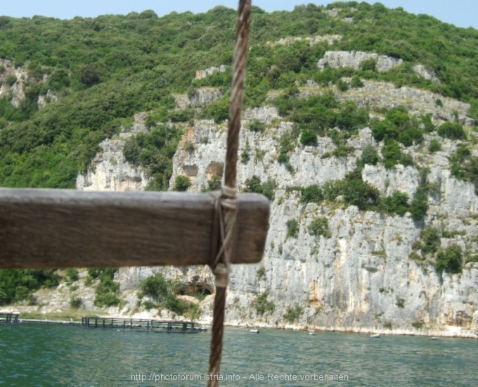 Lim-Fjord > Ausflug mit der "Quo Vadis"