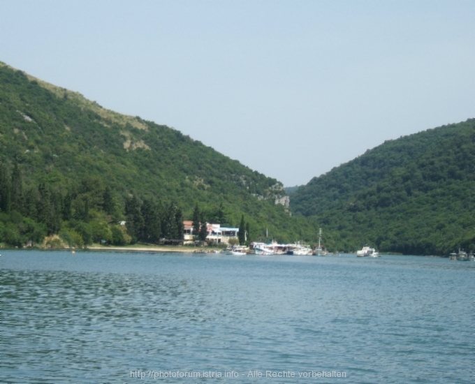 Lim-Fjord > Ausflug mit der "Quo Vadis"