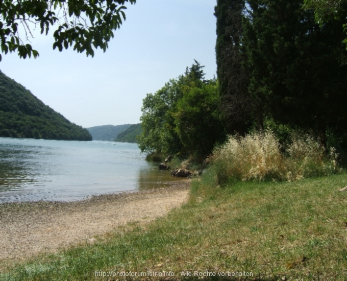 Lim-Fjord > Ausflug mit der "Quo Vadis"