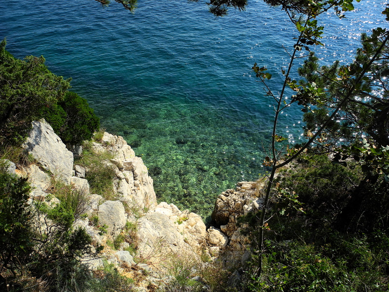 DSCN3130.jpg
