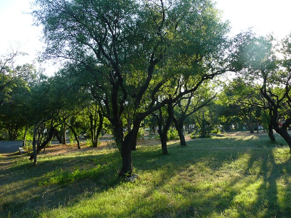 CAMPING KOZICA