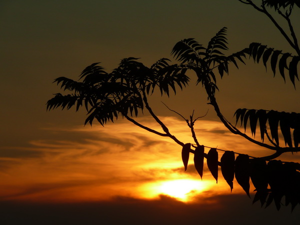 POVILE > Sonnenuntergang