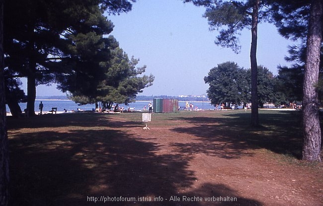 POREC-BORIK > Rat Pical > Strandwiese