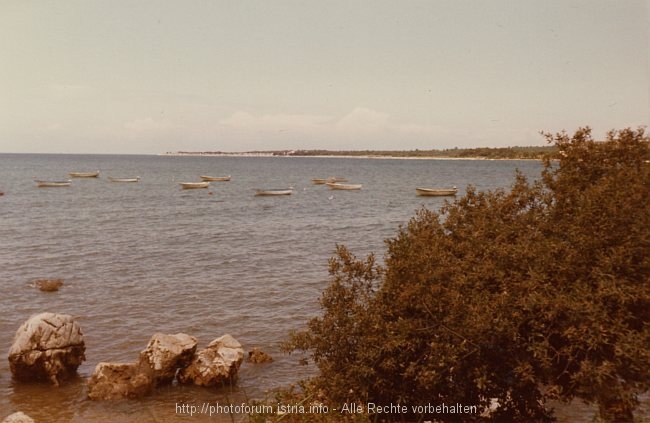 POREC-BORIK > Rat Pical > Ausblick