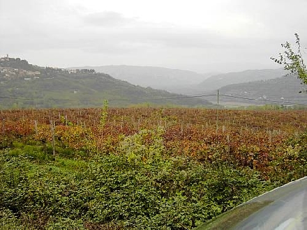 BURKI's REISEBERICHT 01 > Herbstimpressionen-20