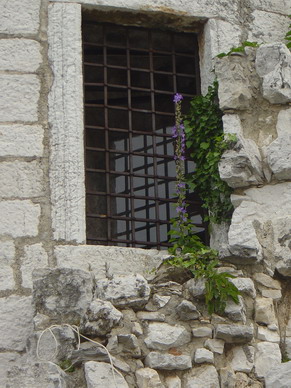 POREC > 193-Fensterrätsel von Philis-11